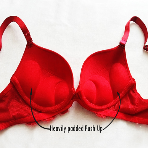 Amante Heavily Padded L2 Push-Up Demi Cup Plunge Nylon Bra